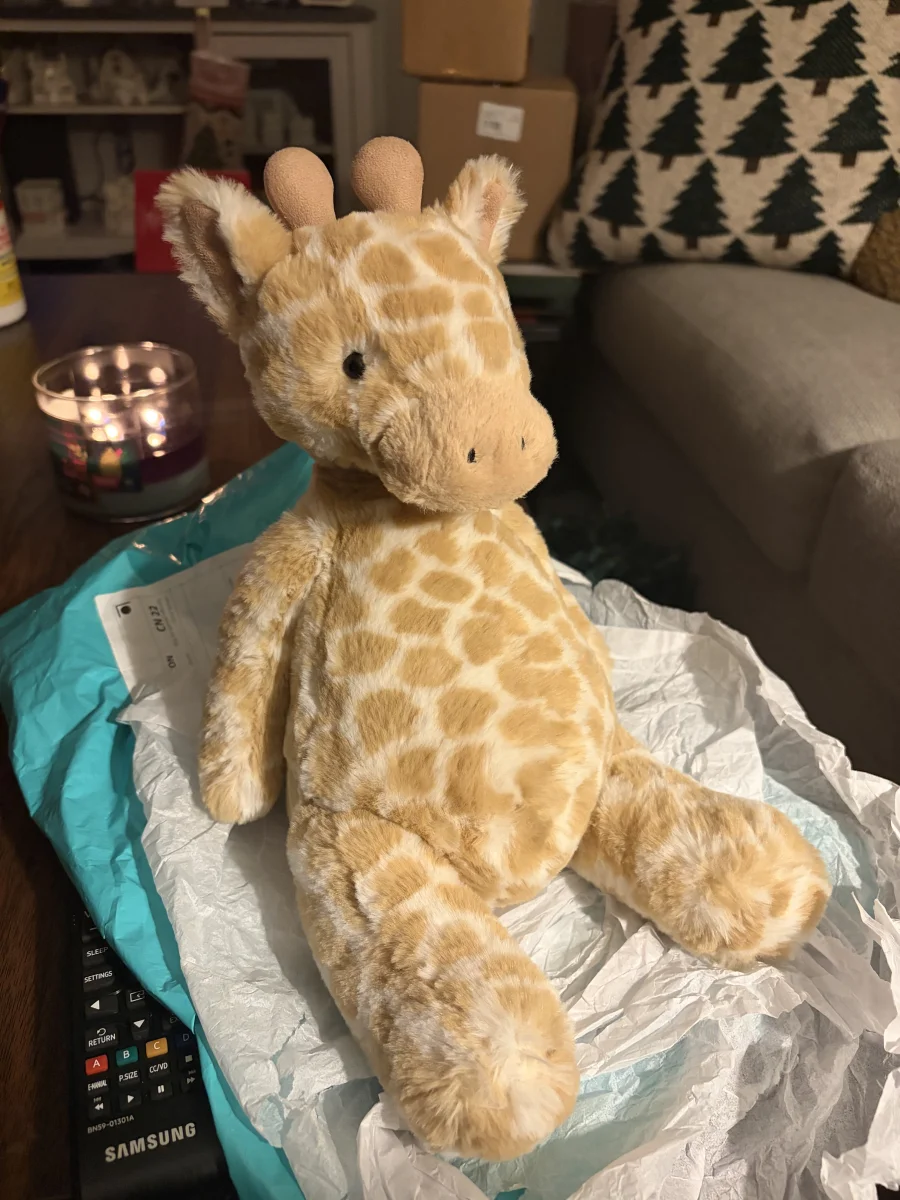 Front - Puffles Giraffe photo by Stephmarie207
