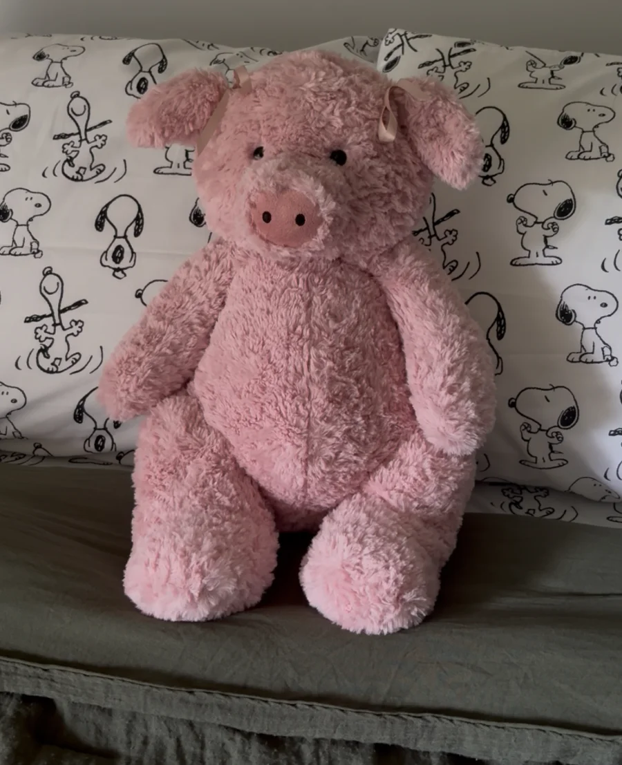 Front - Barnabus Pig - Huge photo by kaleighsjellies