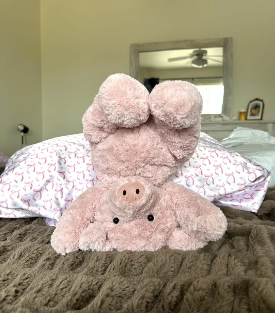 Front - Barnabus Pig - Huge photo by JodysJellies