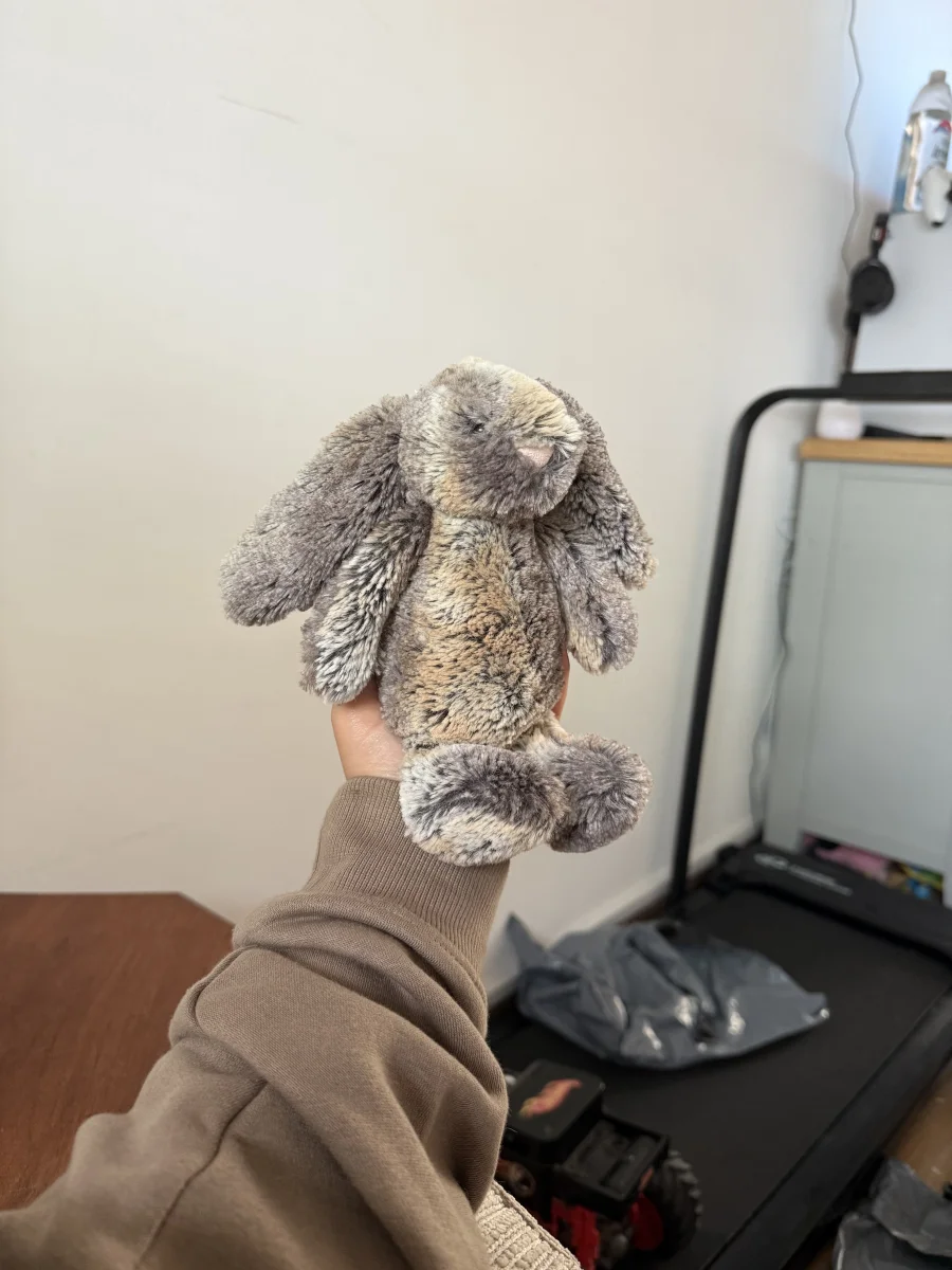 Front - Bashful Cottontail Bunny - Small photo by Jamiecarrolanx