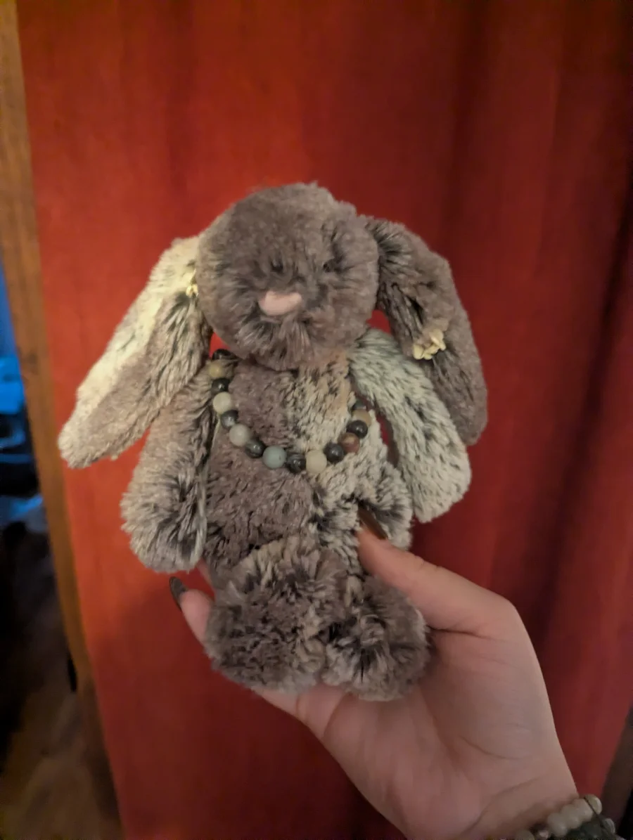 Front - Bashful Cottontail Bunny - Small photo by Coco_5