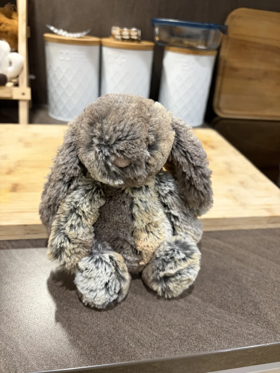 Front - Bashful Cottontail Bunny - Small photo by Seni113
