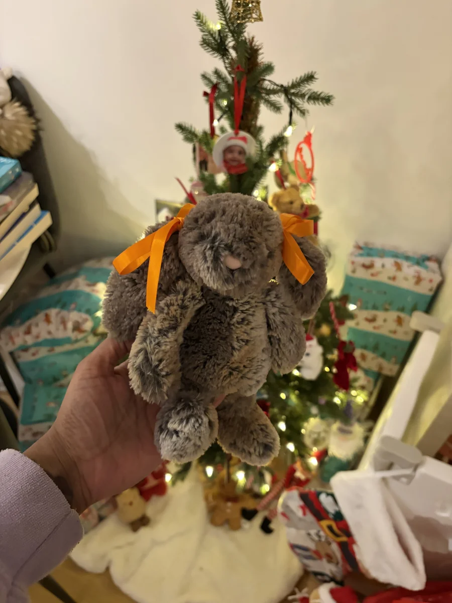 Front - Bashful Cottontail Bunny - Small photo by Seni113