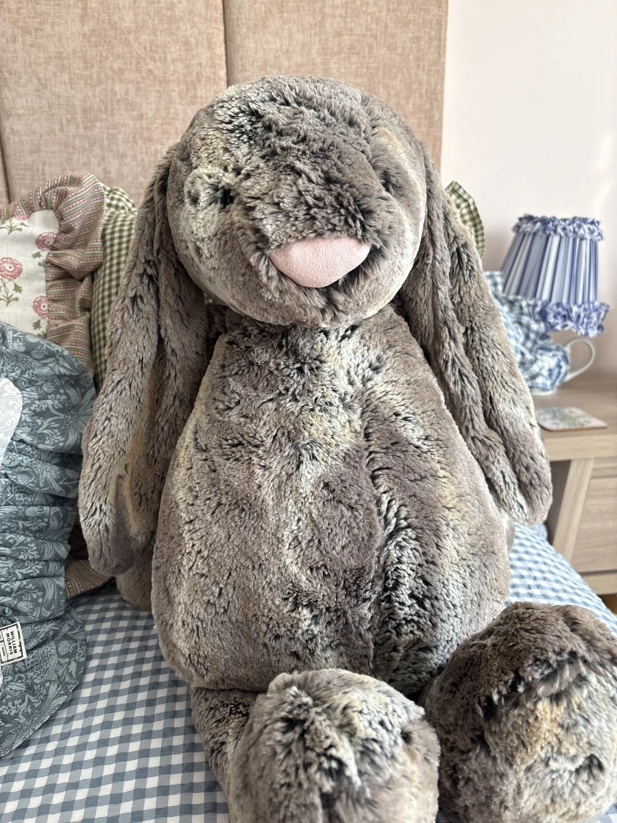 Front - Bashful Cottontail Bunny - Really Big photo by Keke777