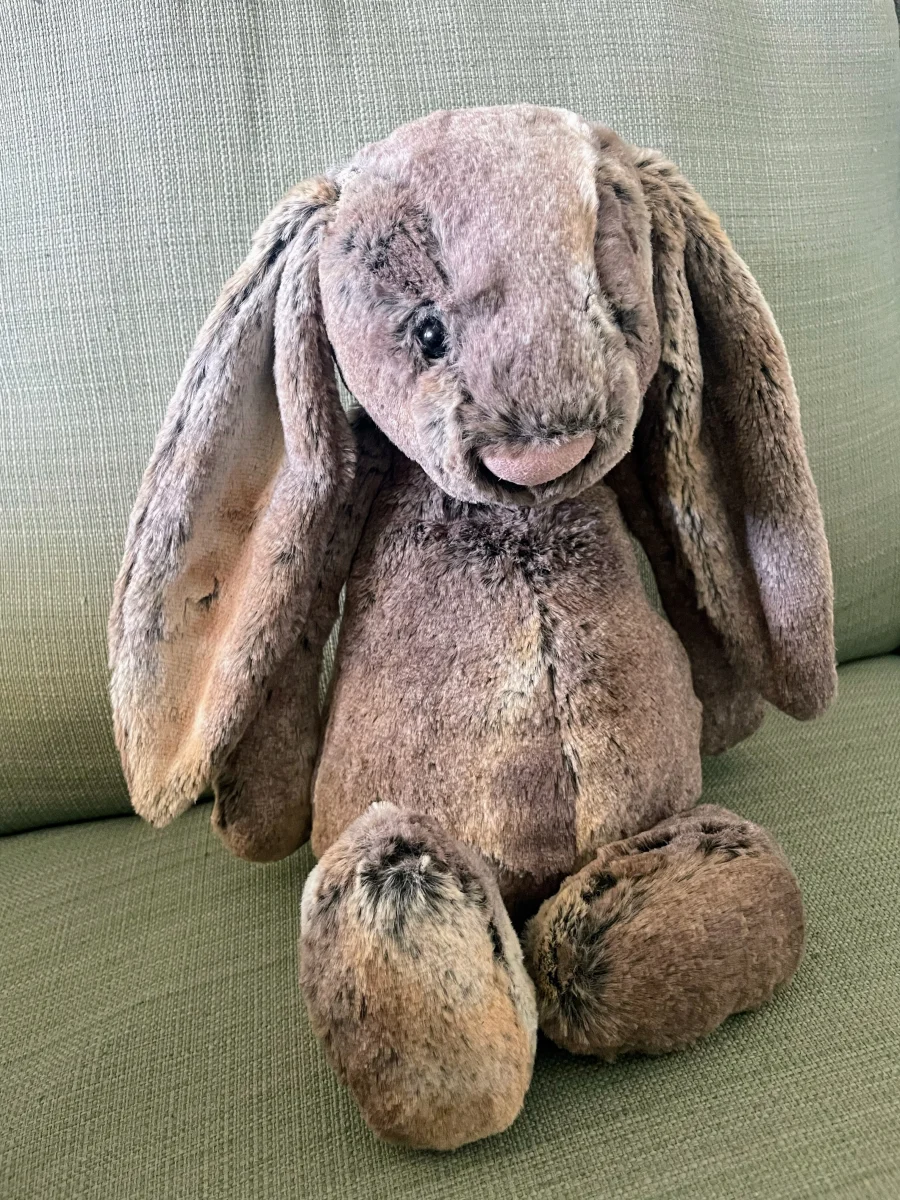 Front - Bashful Cottontail Bunny - Large photo by JellytimeLaMay