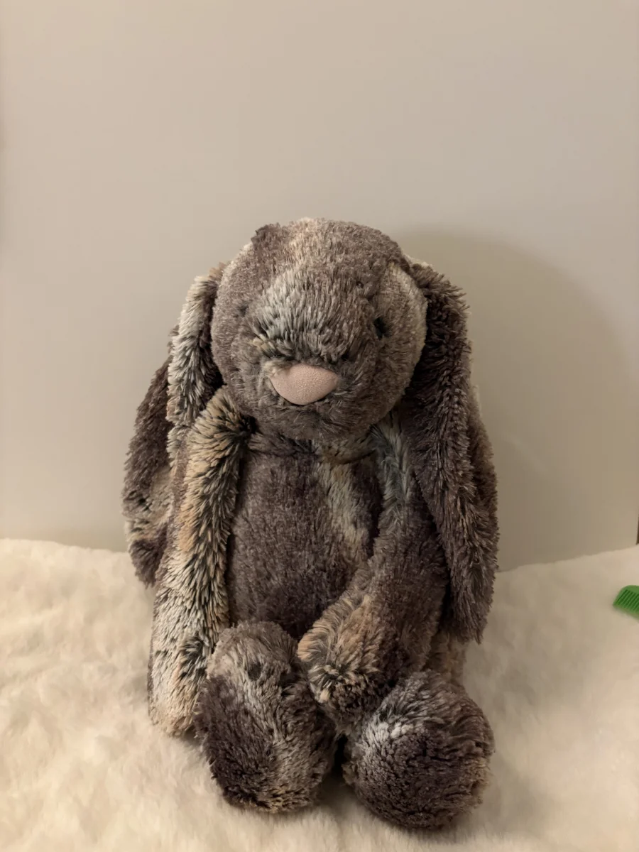 Front - Bashful Cottontail Bunny - Large photo by Fnublo95
