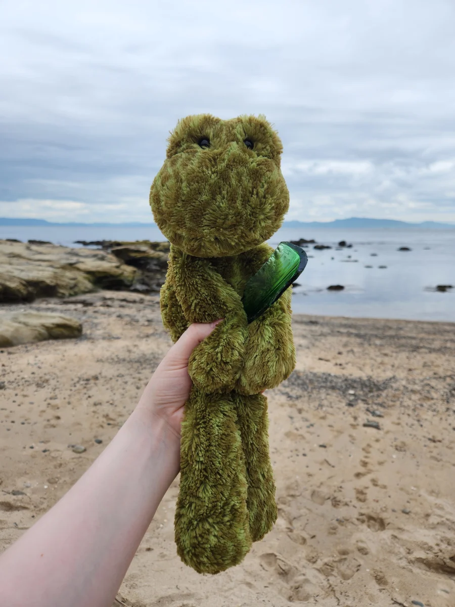 Front - Merryday Frog photo by emilliebee