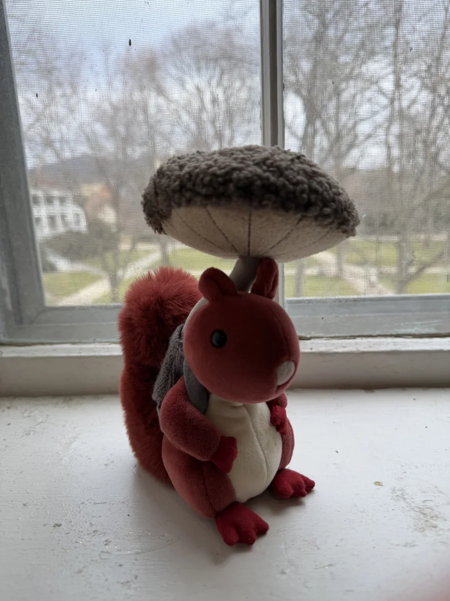 Front - Fungi Forager Squirrel photo by katsjellies