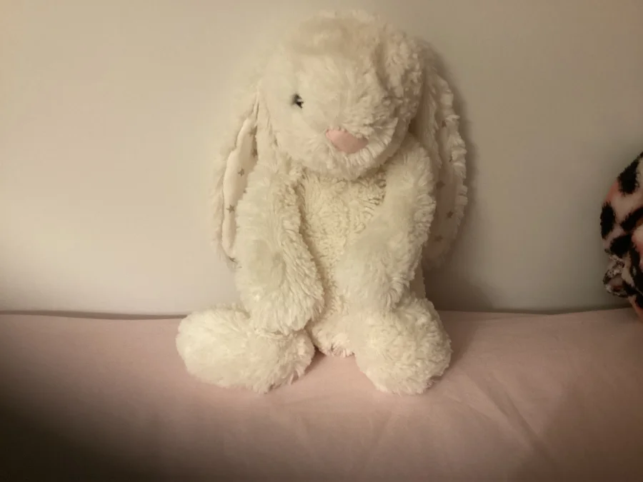 Front - Bashful Twinkle Bunny - Small photo by Isabellexcoffee
