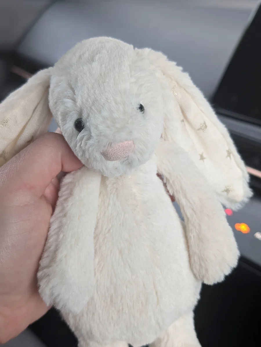 Front - Bashful Twinkle Bunny - Small photo by Jelly_shebear