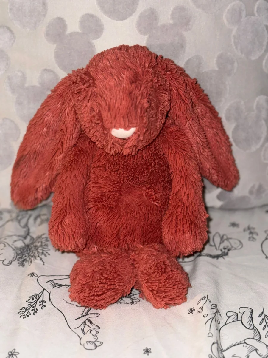 Front - Bashful Cinnamon Bunny - Medium photo by Rara11xo