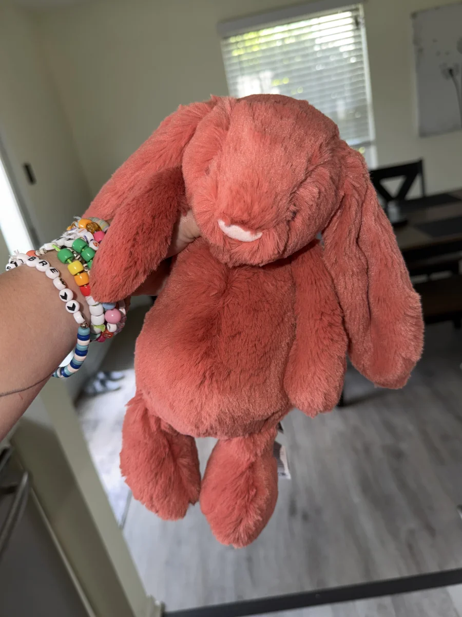 Front - Bashful Cinnamon Bunny - Medium photo by alinsey