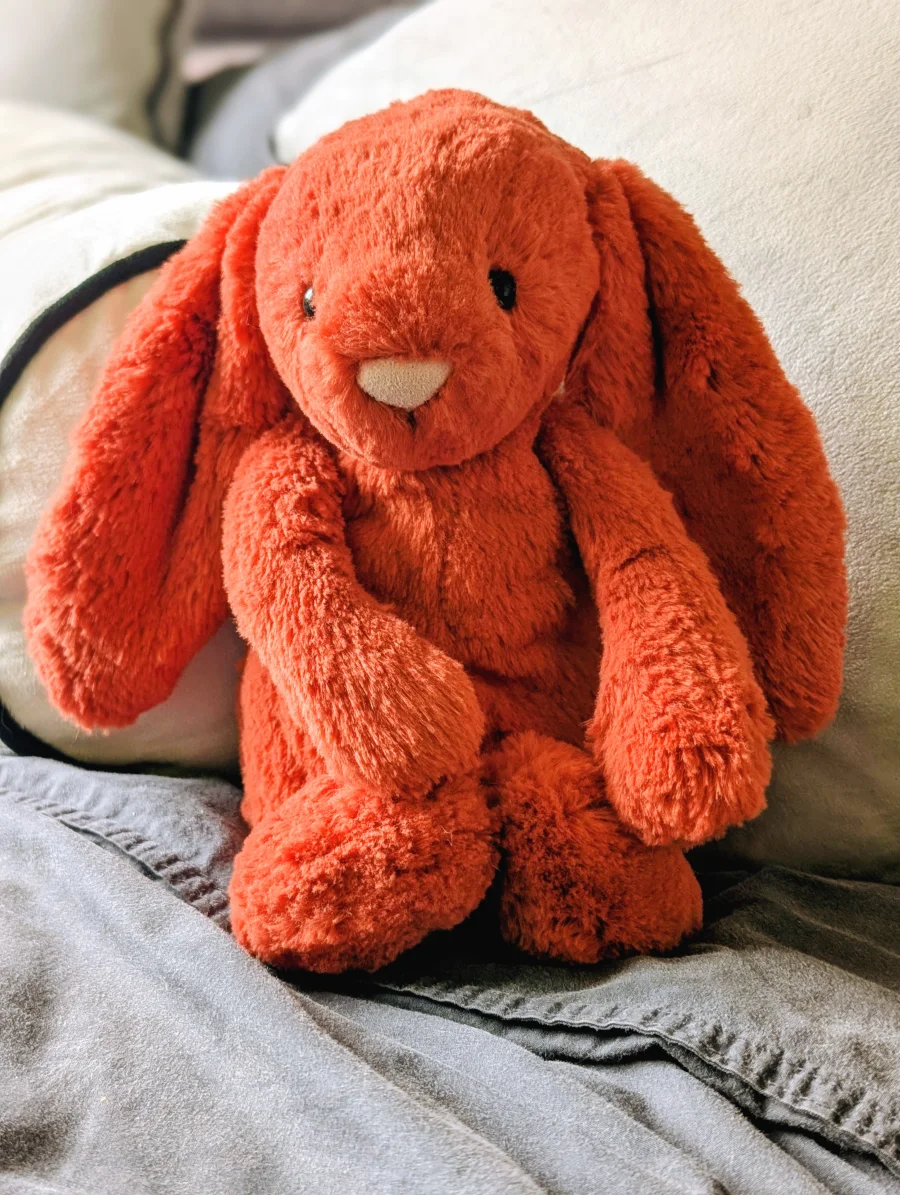 Front - Bashful Cinnamon Bunny - Medium photo by Jelly_shebear