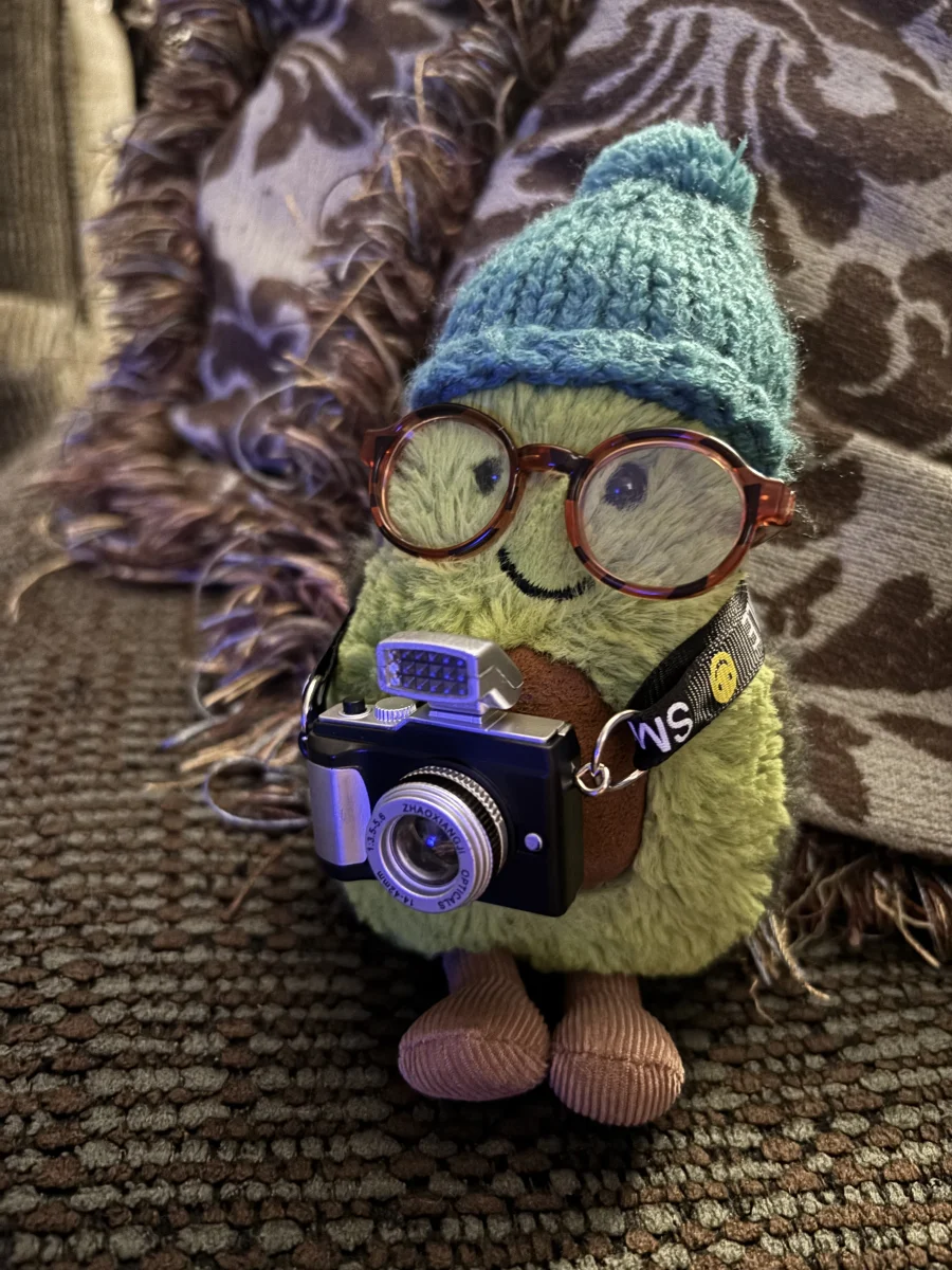 Front - Amuseables Cozi Teal Avocado photo by Katie222