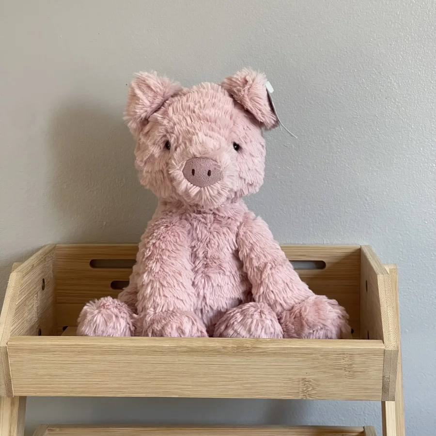 Front - Fuddlewuddle Pig photo by charlotteriddettepage