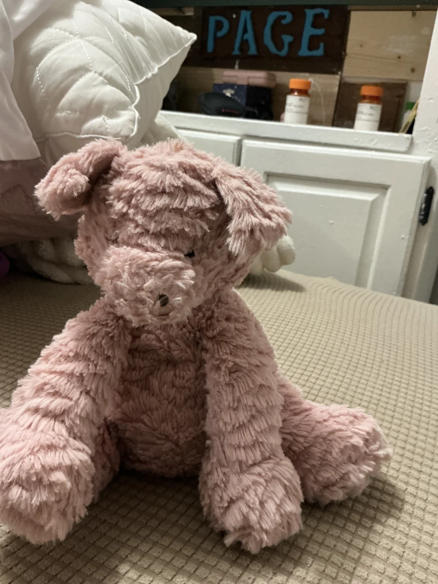 Front - Fuddlewuddle Piglet - Medium photo by Casapage