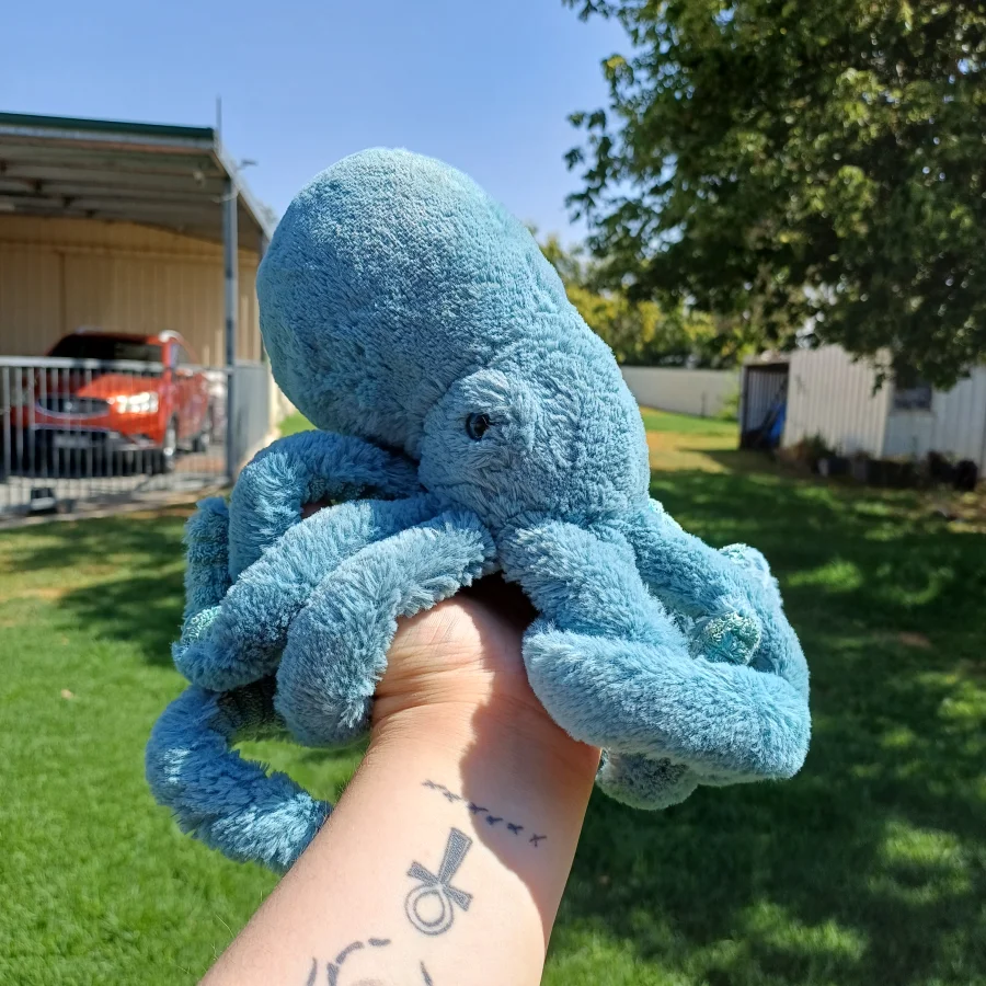 Side - Sol Squid - Little photo by herbgardenplush