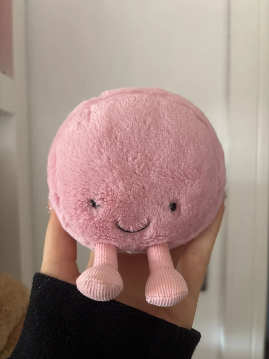 Front - Amuseable Macaron Raspberry photo by Chloegoing