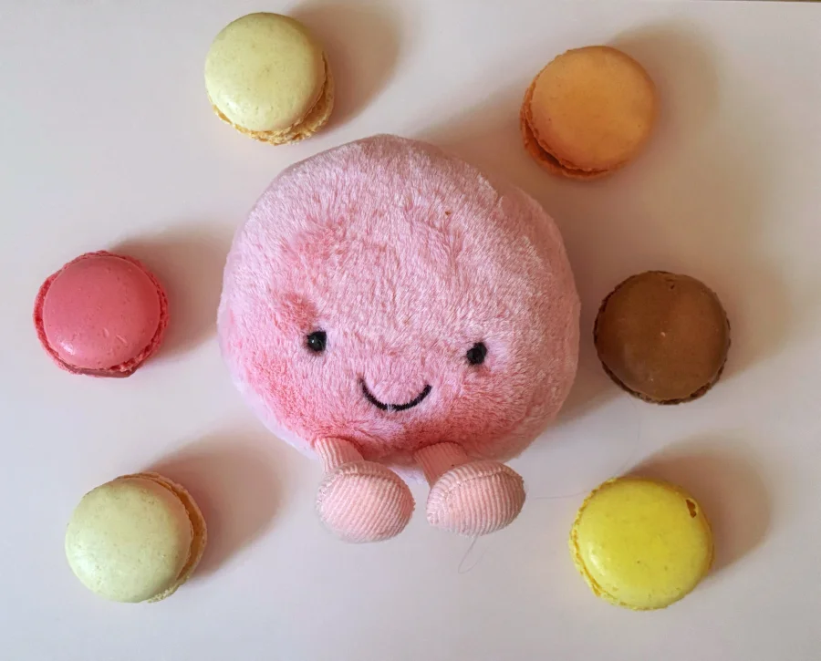 Front - Amuseable Macaron Raspberry photo by PixieAztechia
