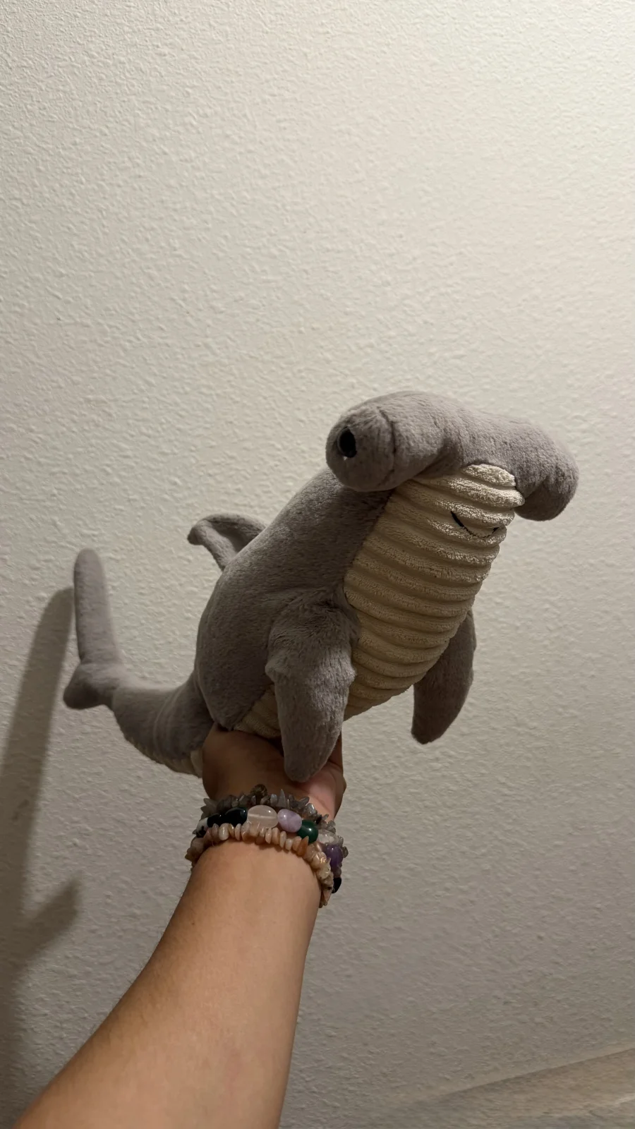 Front - Harley Hammerhead Shark photo by bronzieandthejellies