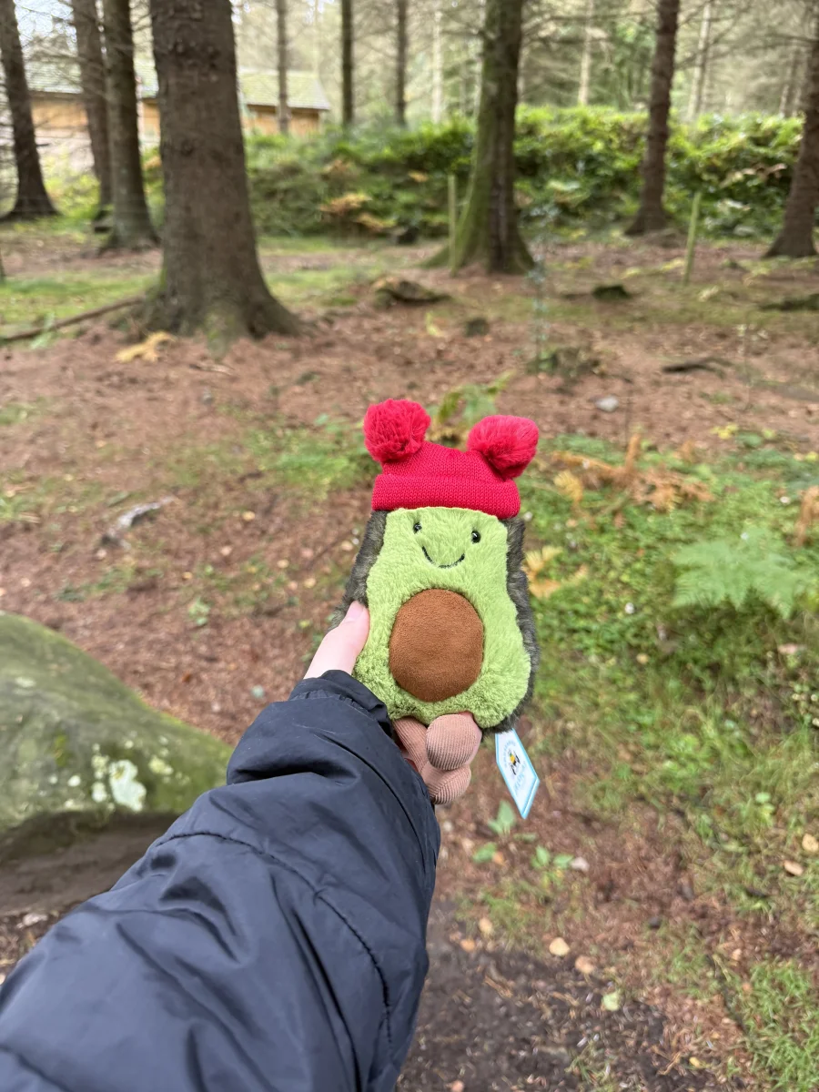 Lifestyle - Amuseables Bobble Avocado photo by lucienotlucyy