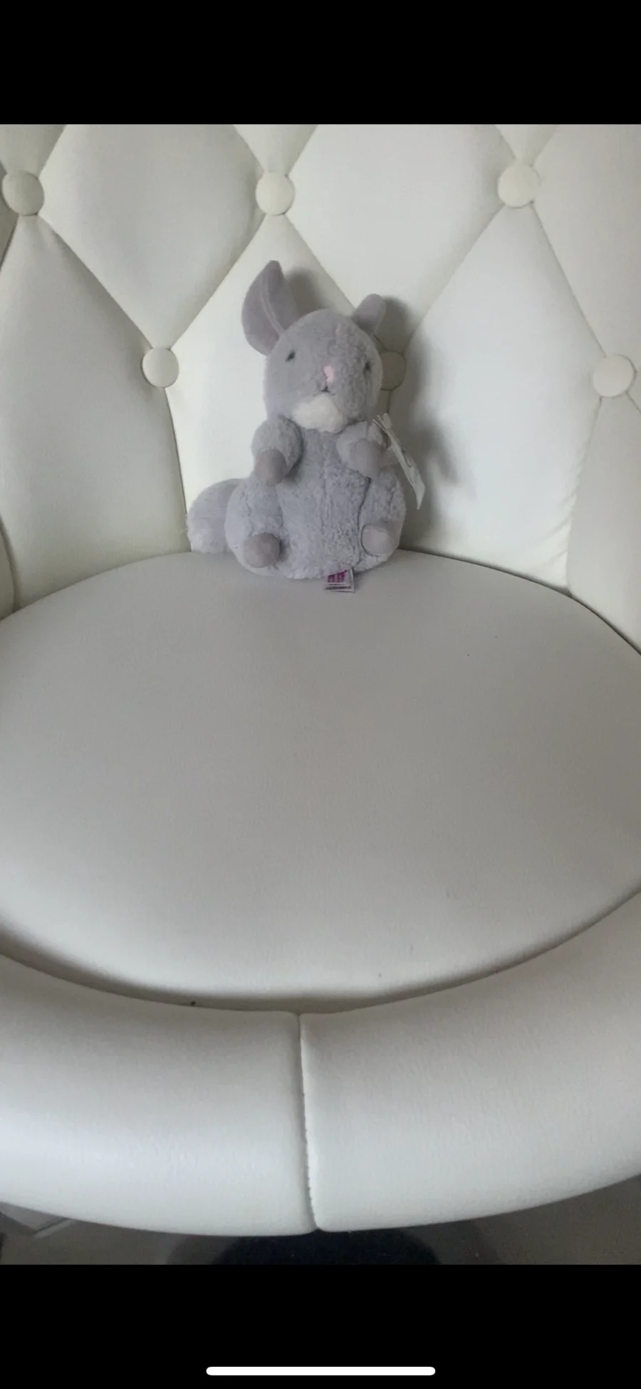 Front - Cheeky Misty Chinchilla photo by its.amb3rrx