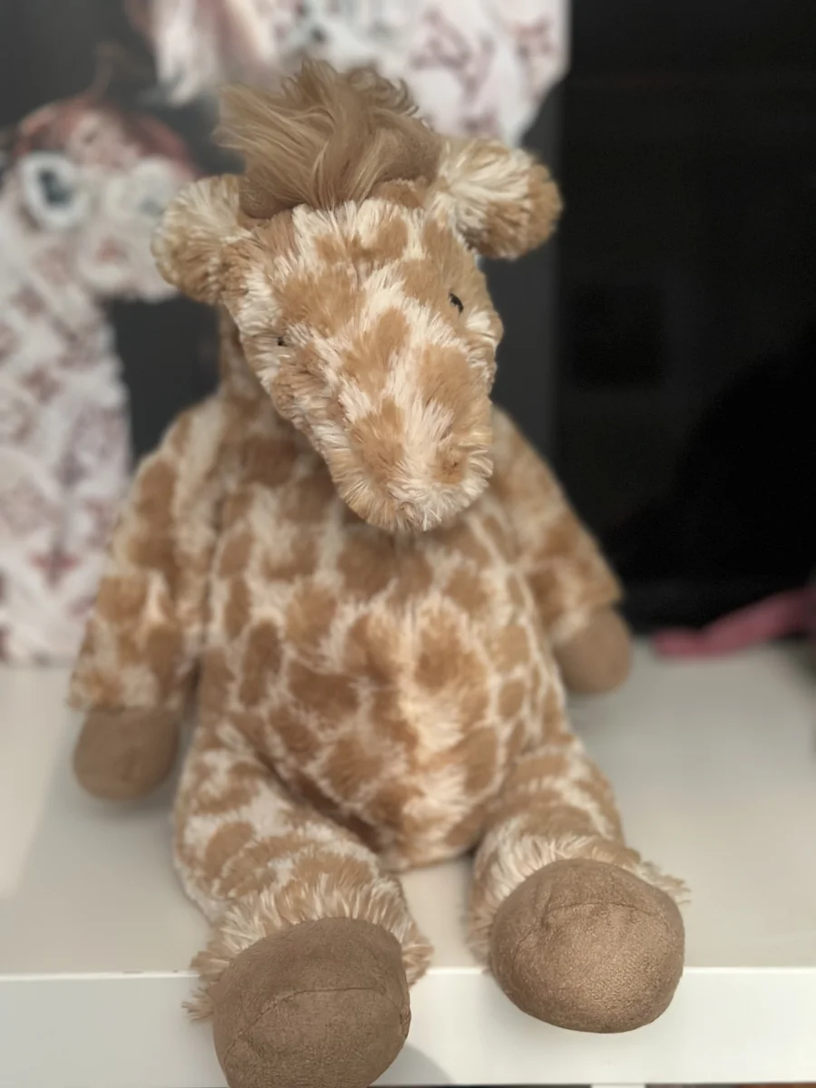 Front - Lallagie Giraffe photo by Clare