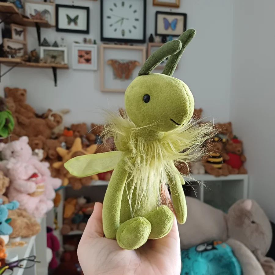 Front - Zeegul Grasshopper photo by herbgardenplush