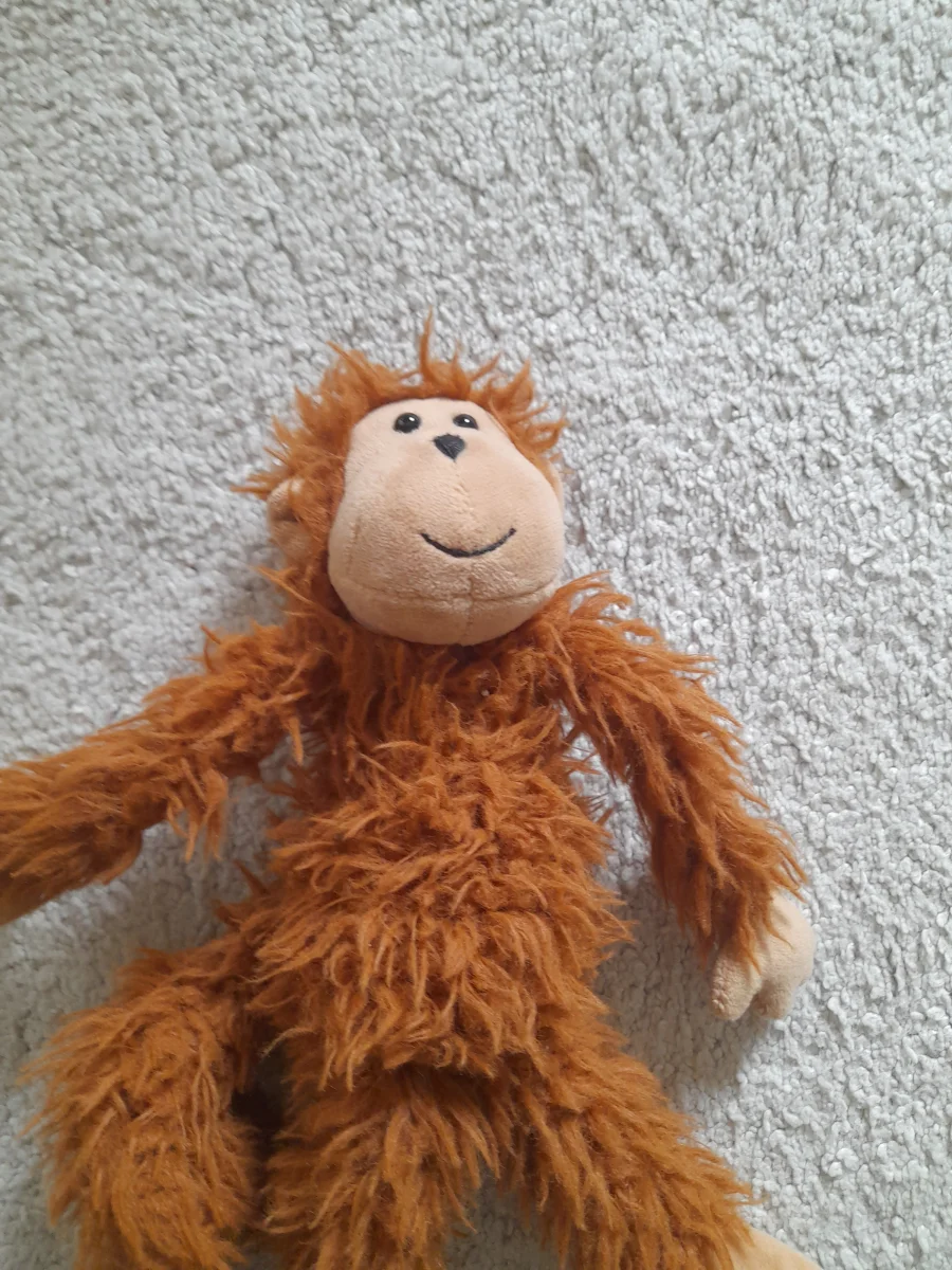 Front - Bonbon Monkey photo by chaitea