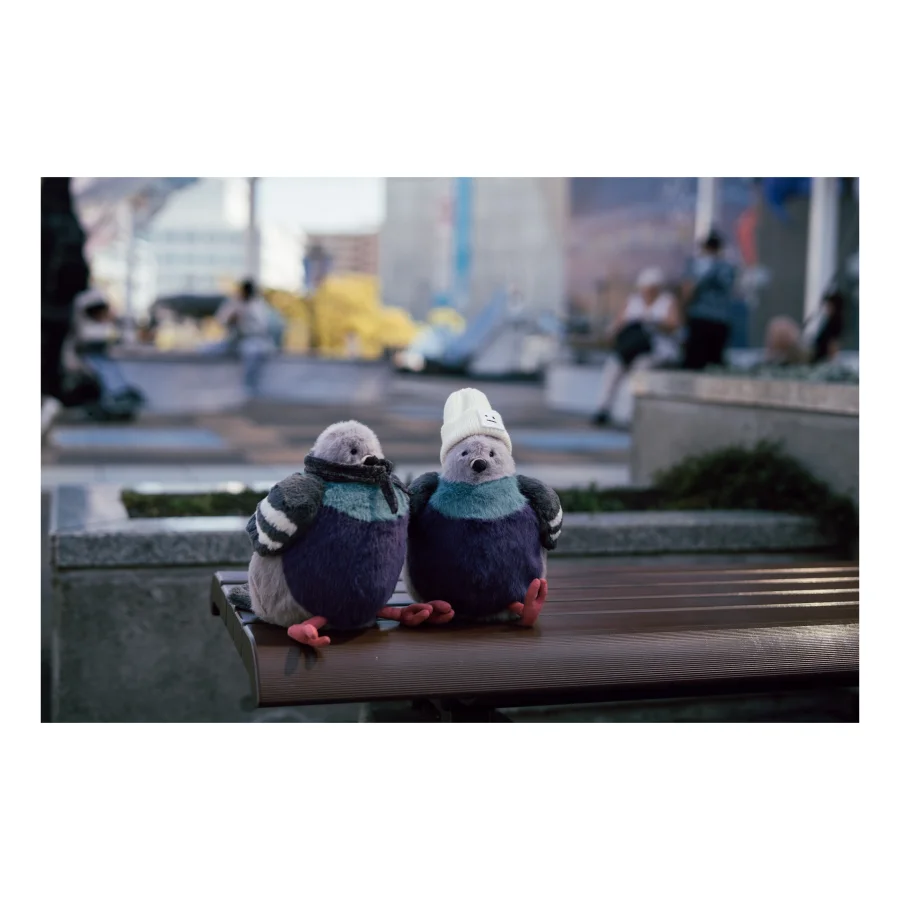 Lifestyle - Leicester Pigeon 🇬🇧  photo by bonbon5669