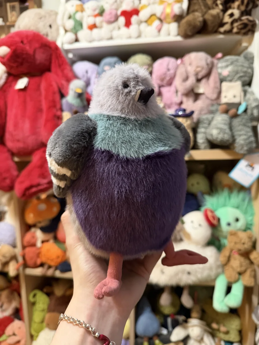 Front - Leicester Pigeon 🇬🇧  photo by amandamariejelly