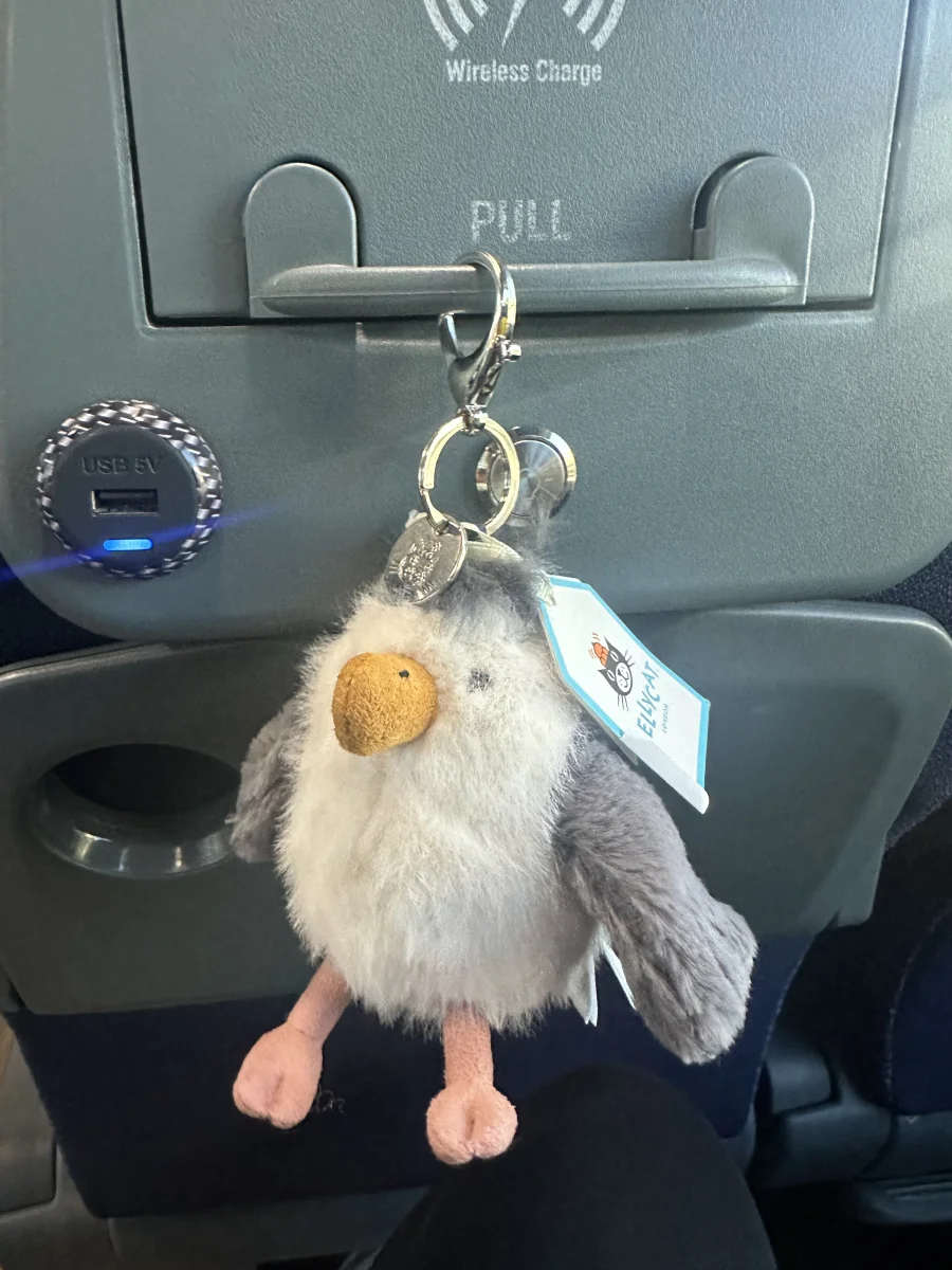Front - Chip Seagull - Bag Charm photo by Mads_