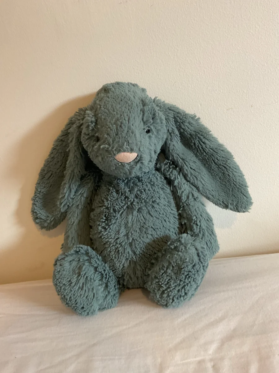 Front - Bashful Forest Bunny - Medium photo by Sinister_poro