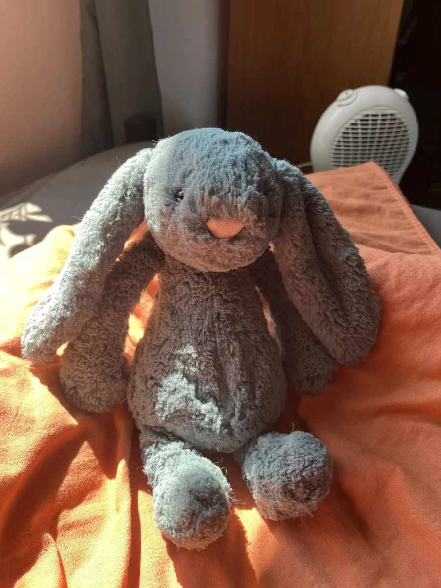 Front - Bashful Forest Bunny - Medium photo by Clqrxx