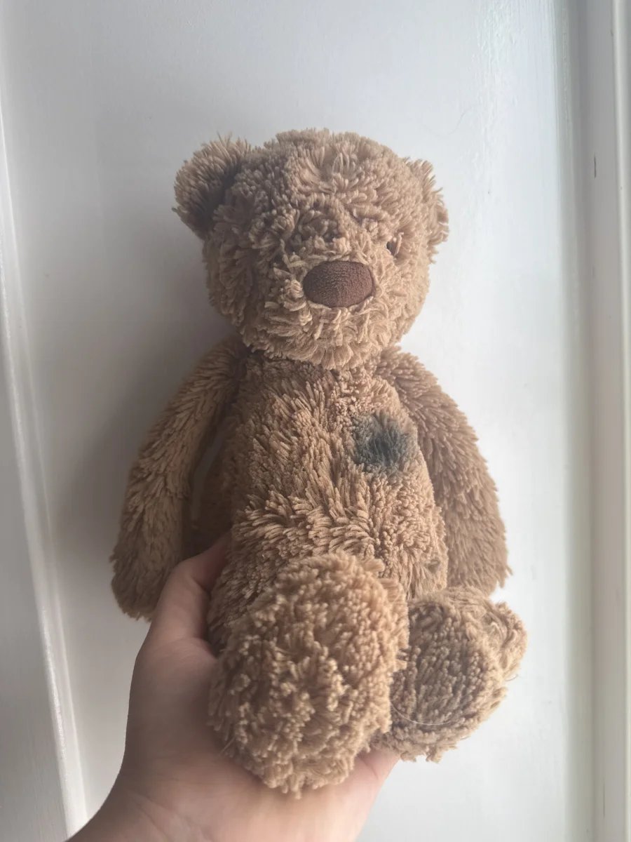 Front - Bashful Bear Cub photo by JellyElenJoy