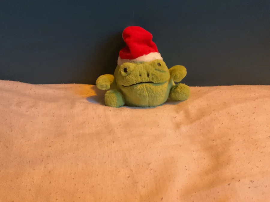 Front - Ricky Rain Frog Decoration photo by JELLYCAT102