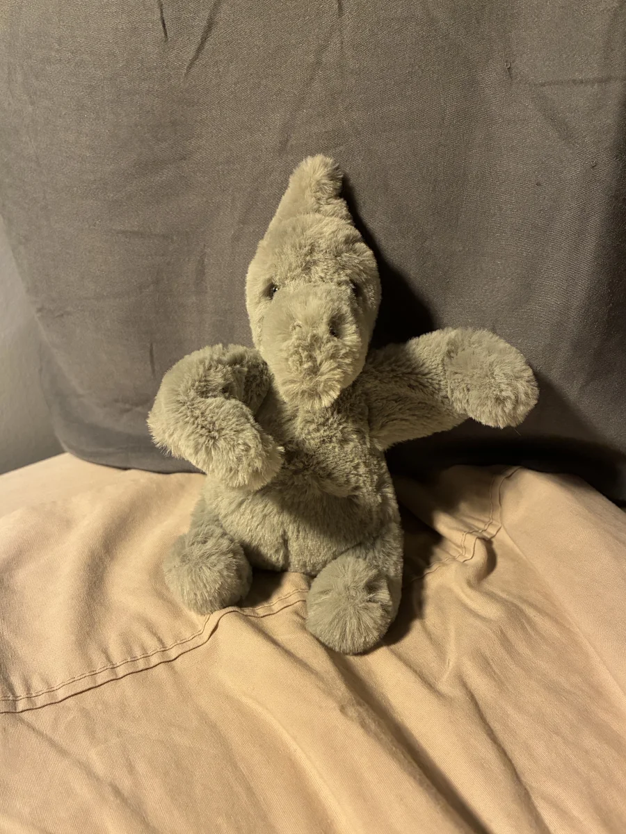 Front - Fossilly Pterodactyl - Small photo by hayleehaunts
