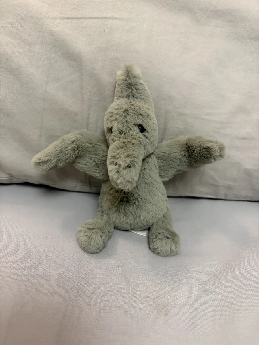 Front - Fossilly Pterodactyl - Small photo by twigletfitz