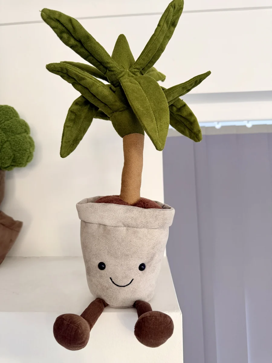 Front - Amuseable Dragon Tree photo by Pearcee89