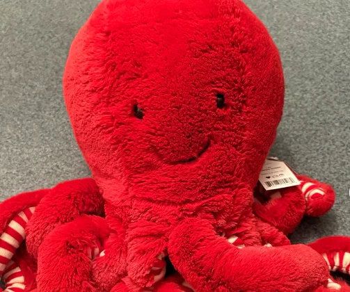 Front - Cranberry Octopus photo by Greatgrl