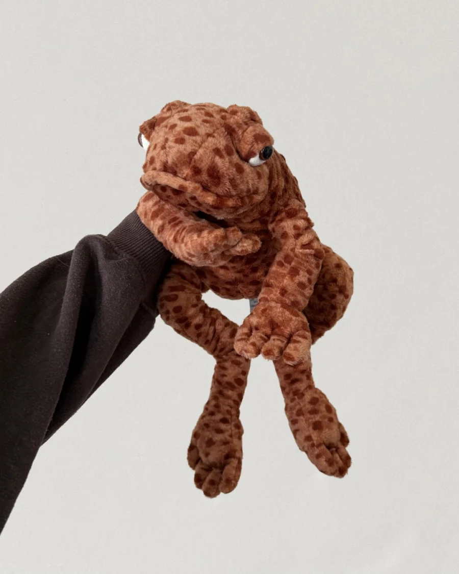 Front - Toby Toad photo by todaysobsessionis