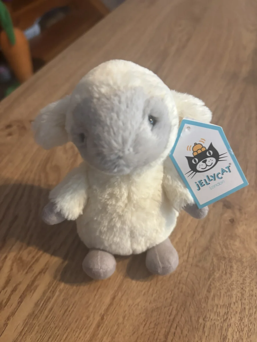 Front - Nippit Lamb photo by CharlieP