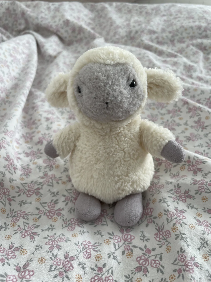 Front - Nippit Lamb photo by Sia