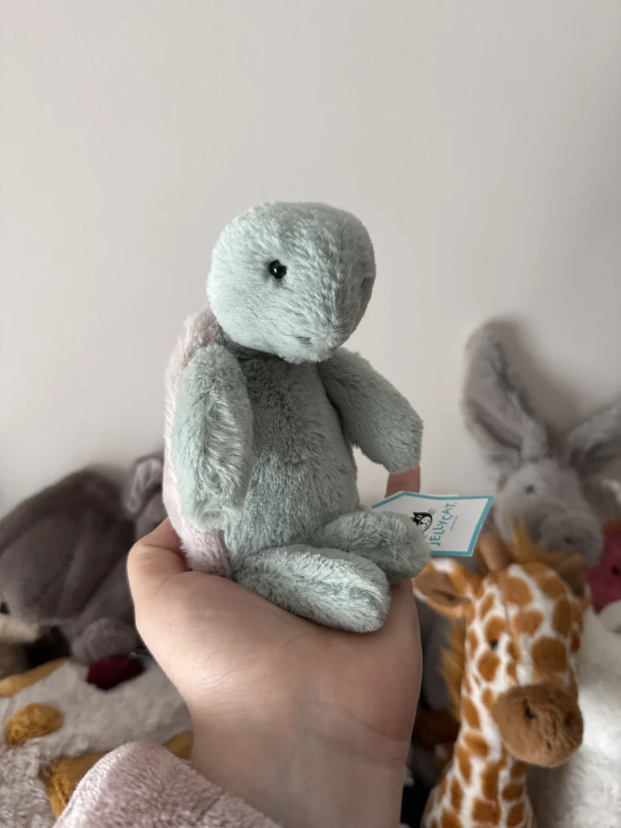 Side - Bashful Turtle - Small photo by JellyElenJoy