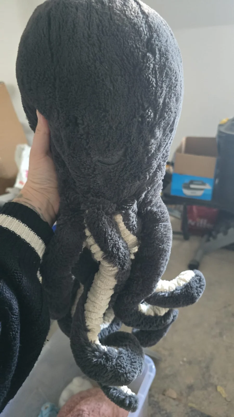 Front - Inky Octopus - Large photo by Melerin