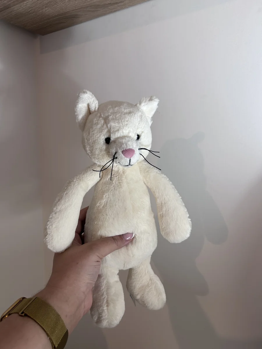 Front - Bashful Cream Kitten photo by girlythingsx