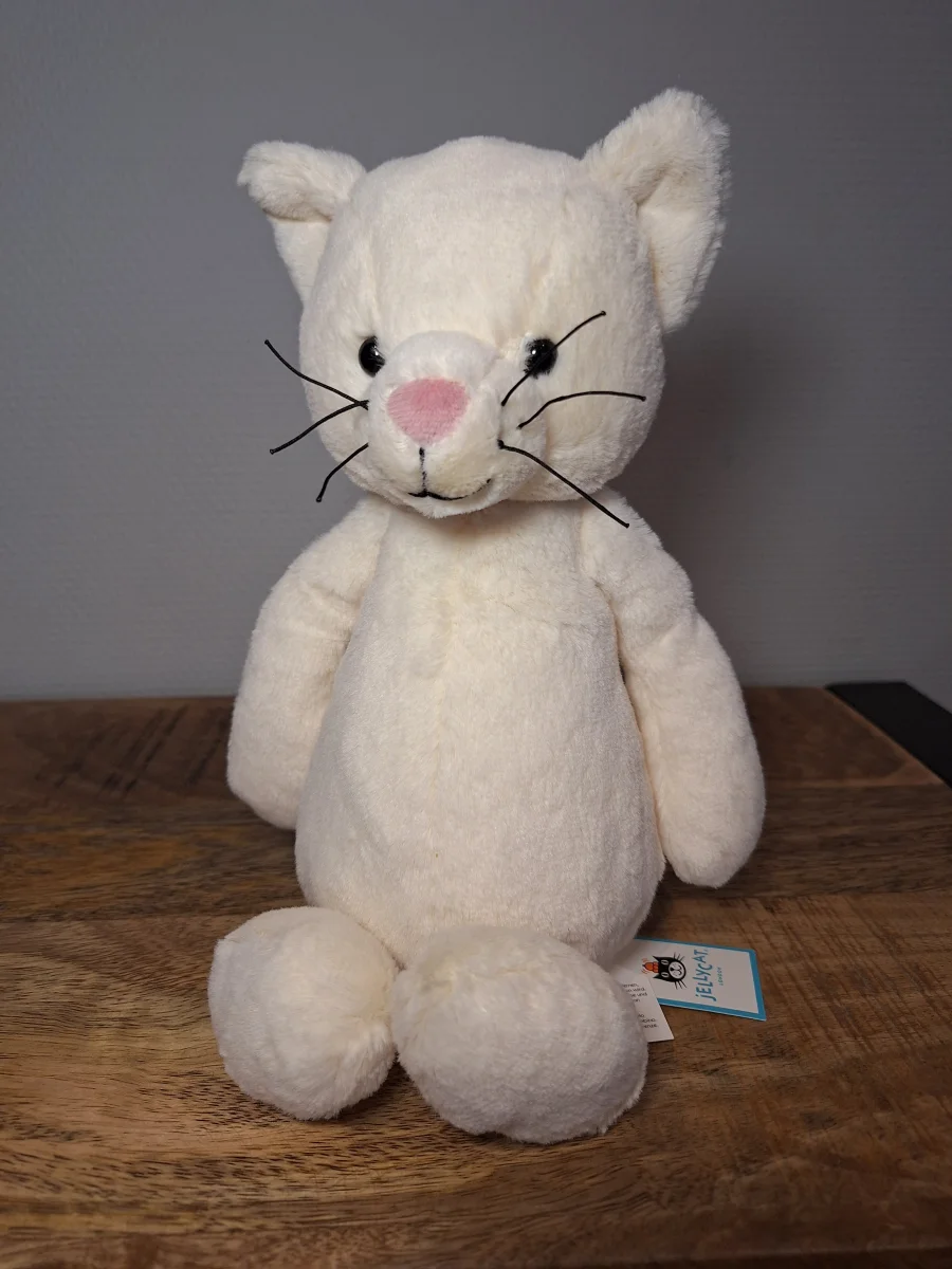 Front - Bashful Cream Kitten photo by Sofie