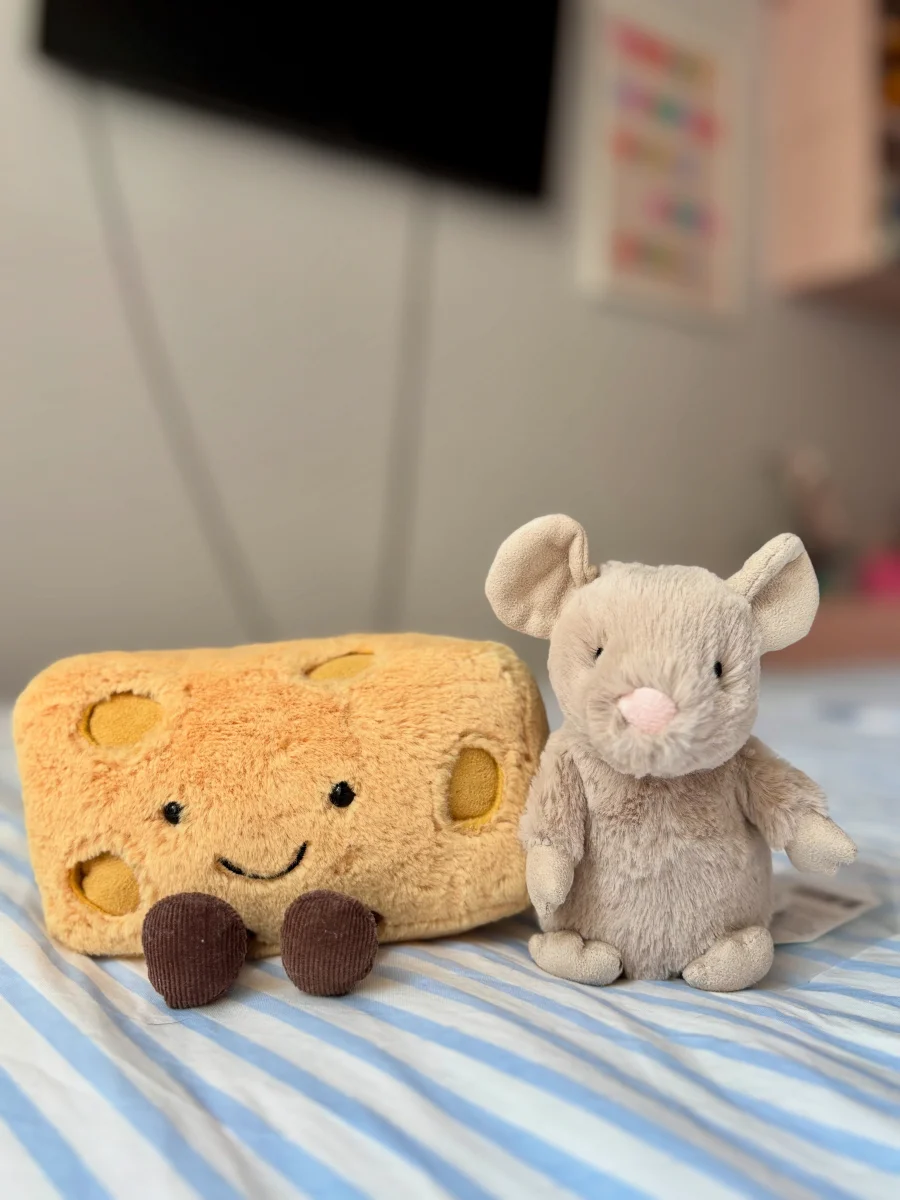 Lifestyle - Nippit Mouse photo by scarlettsjellies