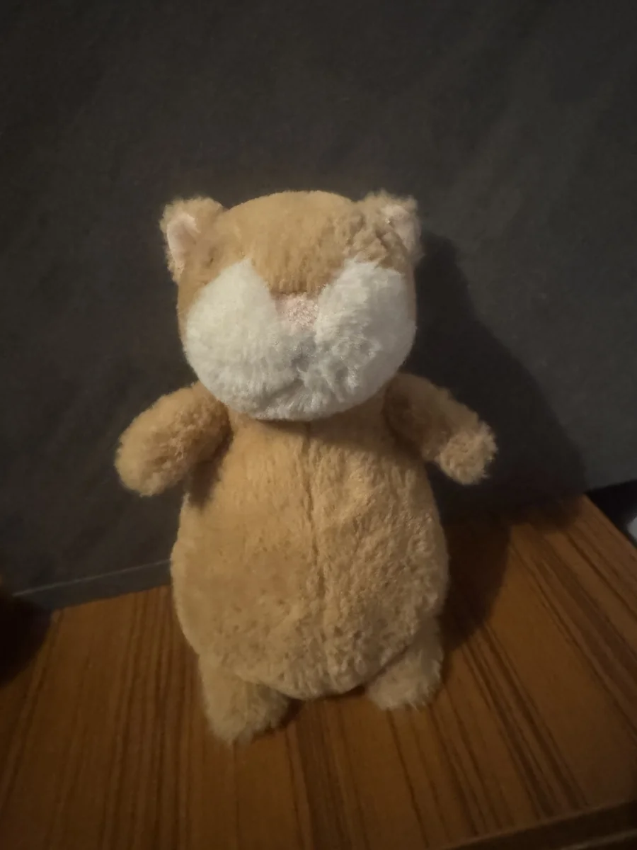 Front - Happy Cinnamon Hamster photo by Stilley