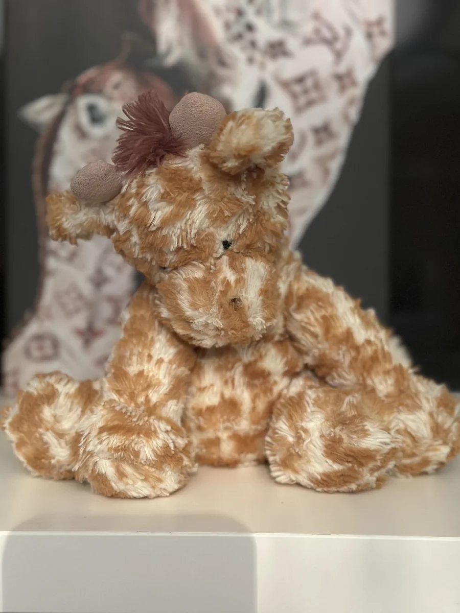 Front - Fuddlewuddle Giraffe - Medium photo by Clare